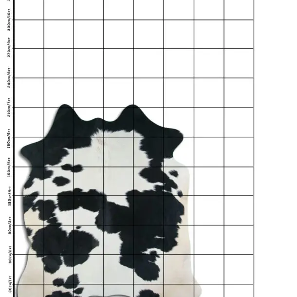 Cowhide Rug Black and White C01116