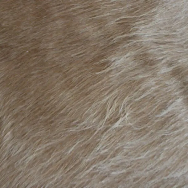 Cowhide Rug Exotic Beige C01117