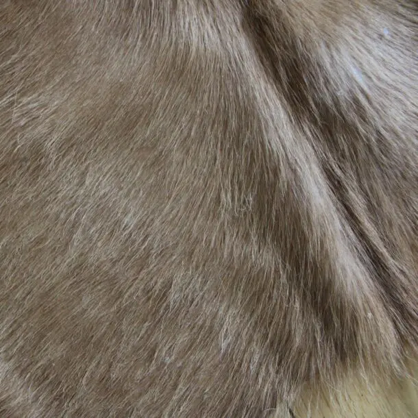 Cowhide Rug Exotic Beige C01117