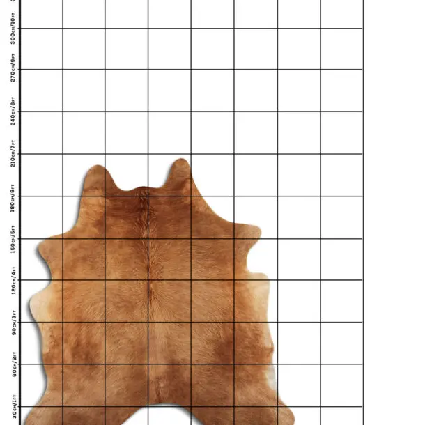 Cowhide Rug Exotic Beige C01117