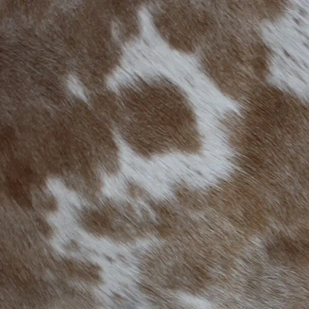 Cowhide Rug Brown and White C01118