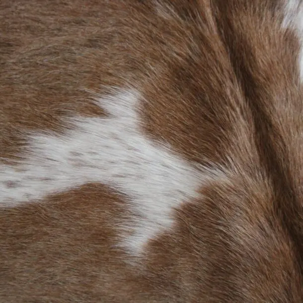 Cowhide Rug Brown and White C01118