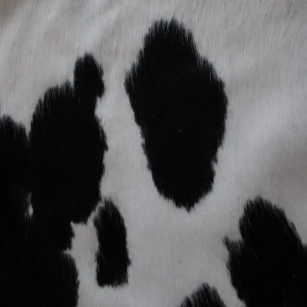 Cowhide Rug Black and White C01119