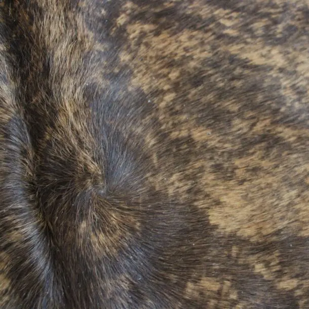 Cowhide Rug Exotic C01120