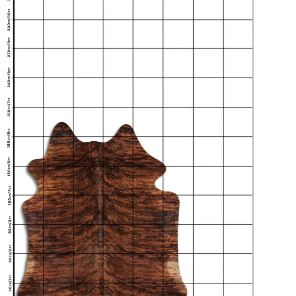 Cowhide Rug Exotic C01120