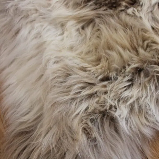 Rare Breed Sheepskin Rug 6 Skin RB6S-77