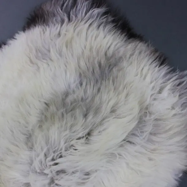 Rare Breed Sheepskin Rug RBS149