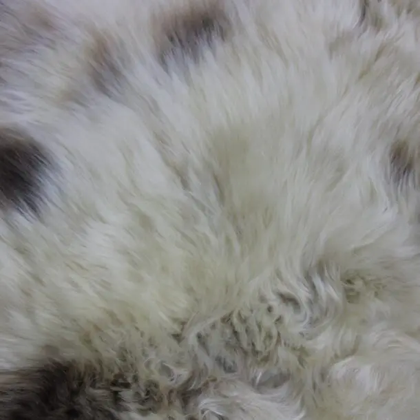 Rare Breed Sheepskin Rug RBS153