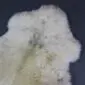 Natural cream and grey rare breed sheepskin rug with thick, textured wool pile and organic shape.