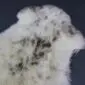 Close-up of a rare breed sheepskin rug featuring thick cream wool with natural dark brown and grey speckles.
