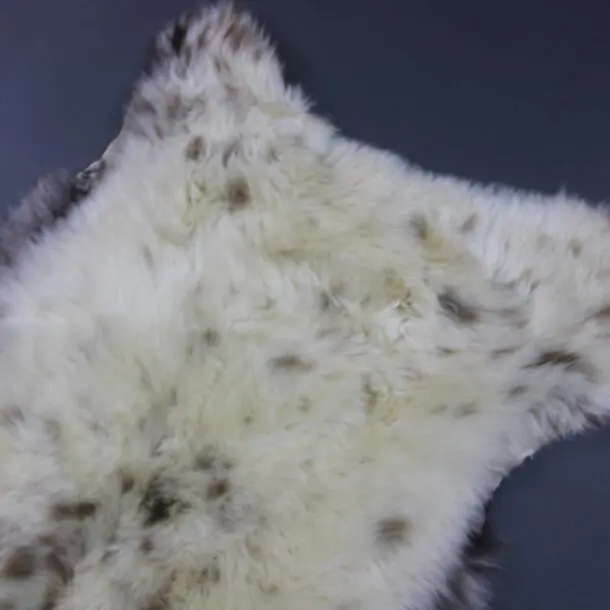 Rare Breed Sheepskin Rug RBS157
