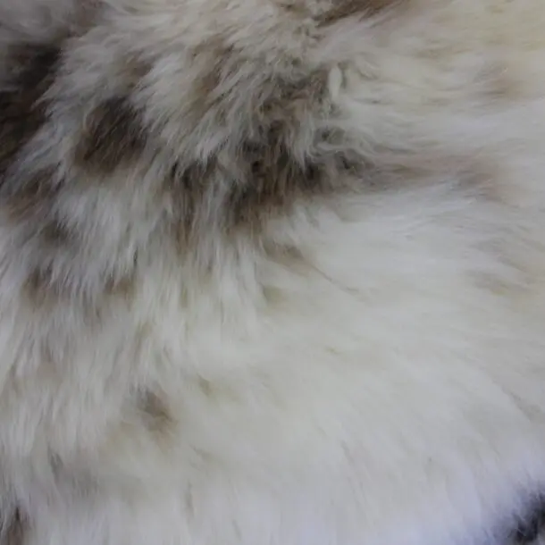 Rare Breed Sheepskin Rug RBS157