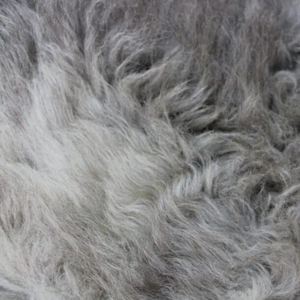 Rare Breed Sheepskin Rug X Large 28