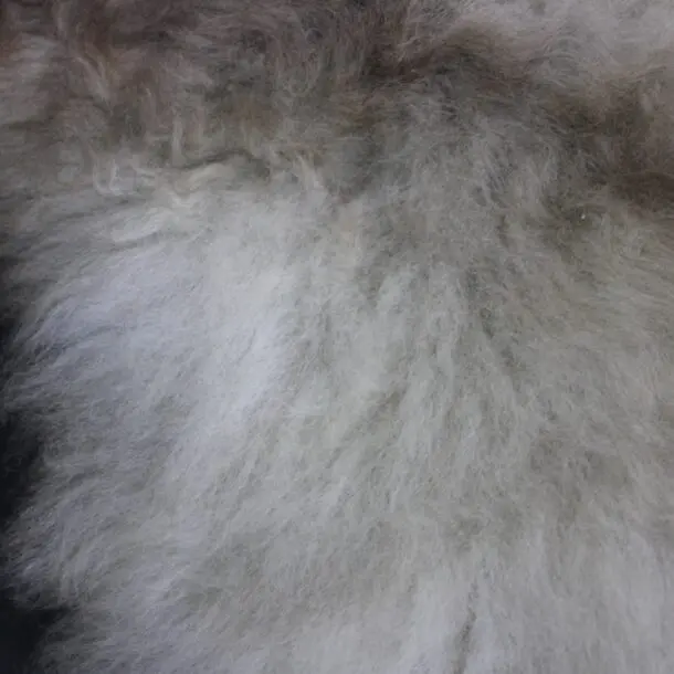 Rare Breed Sheepskin Rug X Large 30
