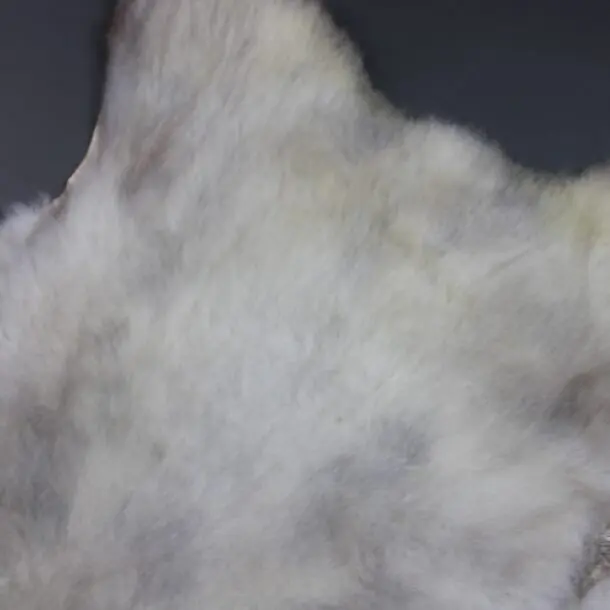 Rare Breed Sheepskin Rug X Large 30