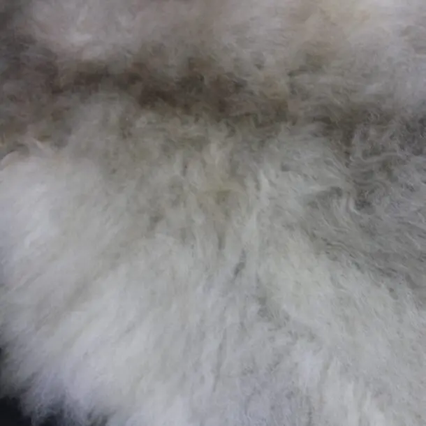 Rare Breed Sheepskin Rug X Large 30