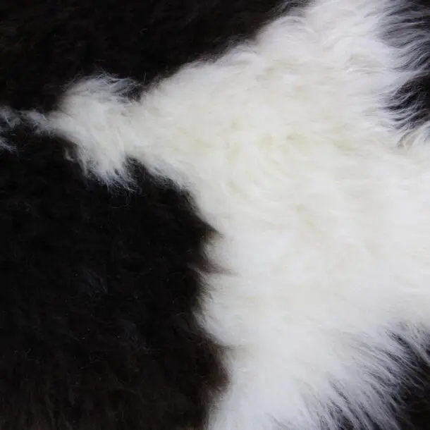 Rare Breed Sheepskin Rug X Large 31