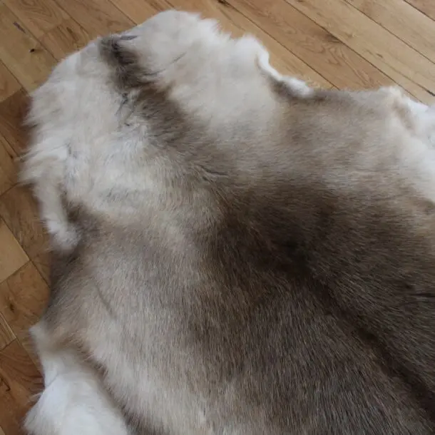 Siberian Reindeer Hide SR249