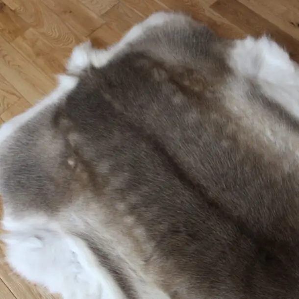 Siberian Reindeer Hide SR249