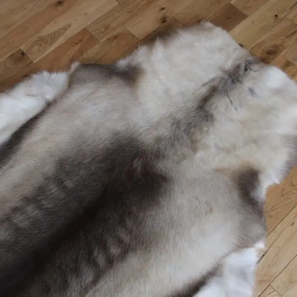 Siberian Reindeer Hide SR250