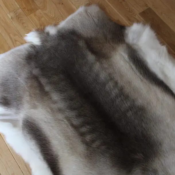 Siberian Reindeer Hide SR250