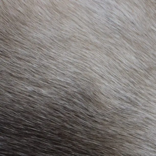 Siberian Reindeer Hide SR250