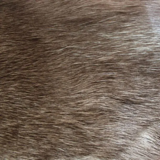 Siberian Reindeer Hide SR251