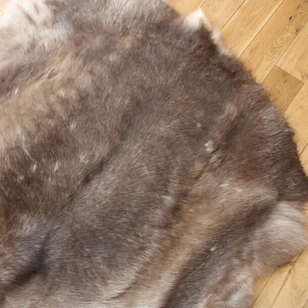 Siberian Reindeer Hide SR252