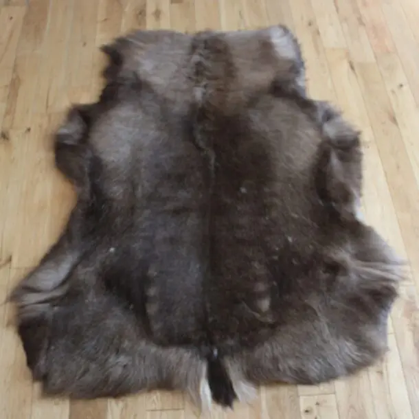 Siberian Reindeer Hide SR253