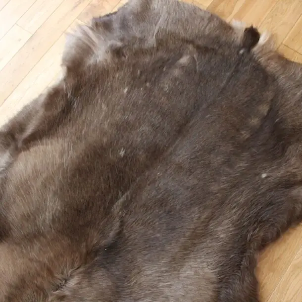 Siberian Reindeer Hide SR253