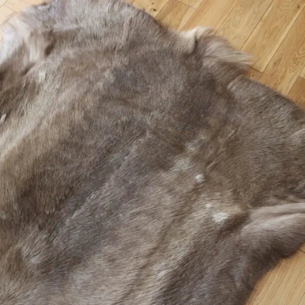 Siberian Reindeer Hide SR254