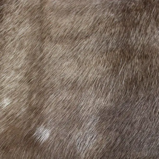 Siberian Reindeer Hide SR254