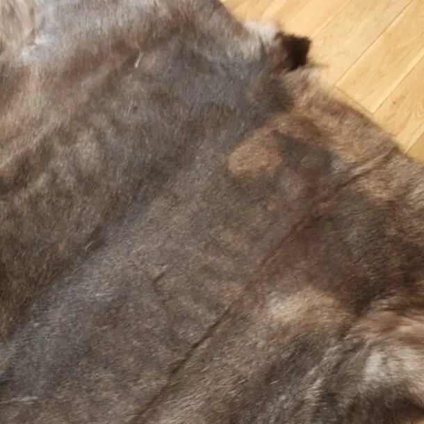 Siberian Reindeer Hide SR255