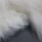 Close-up of a multi-layered sheepskin rug with long, thick white wool and a grey backing.