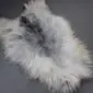 Natural Grey Icelandic Sheepskin Rug ING389 (8) Long-haired Icelandic sheepskin rug with natural grey, white, and charcoal tones.