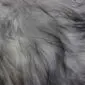 Natural Grey Icelandic Sheepskin Rug ING390 (1) Close-up of long, natural grey Icelandic sheepskin wool with varying shades of charcoal and silver.