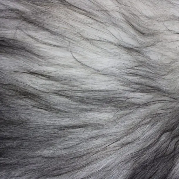 Natural Grey Icelandic Sheepskin Rug ING391