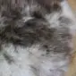 Close-up of a rare breed double sheepskin rug with thick, mottled grey and cream wool fibres.