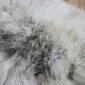 Close-up of a rare breed double sheepskin rug featuring long, textured wool in cream, grey and brown tones.