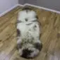 Long double sheepskin rug with natural cream, grey and brown mottled wool markings.