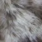 Close-up of thick, long-pile rare breed sheepskin with natural cream, grey, and brown mottled wool textures.