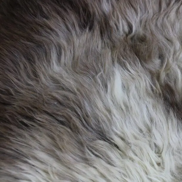 Rare Breed Sheepskin Double RBD107
