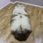 Double rare breed sheepskin rug with natural cream, grey and dark brown wool markings on a wooden floor.