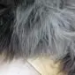 Close-up of a rare breed double sheepskin rug featuring long, thick wool in mottled shades of grey, charcoal and black.