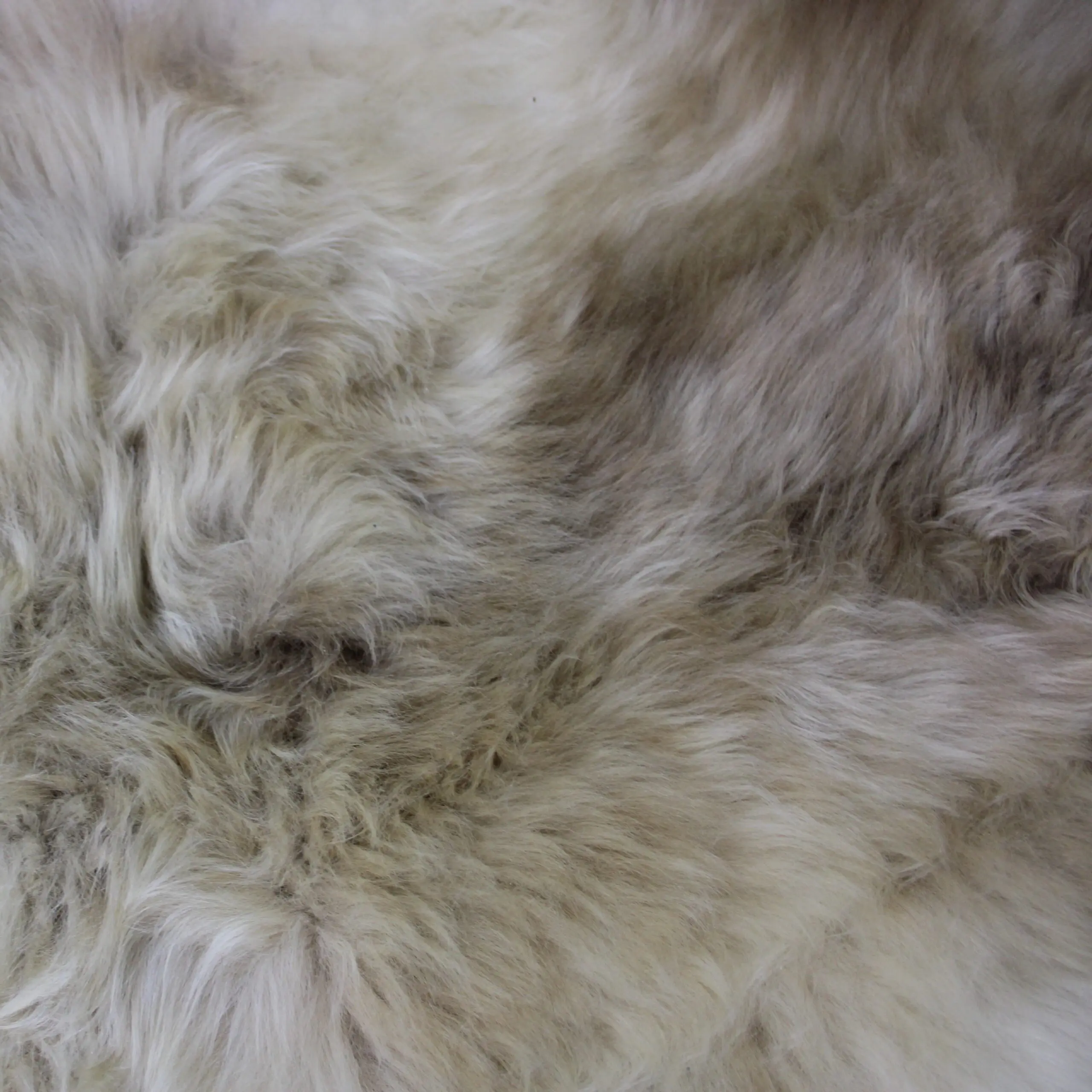 Rare Breed Sheepskin Rug RBM-92