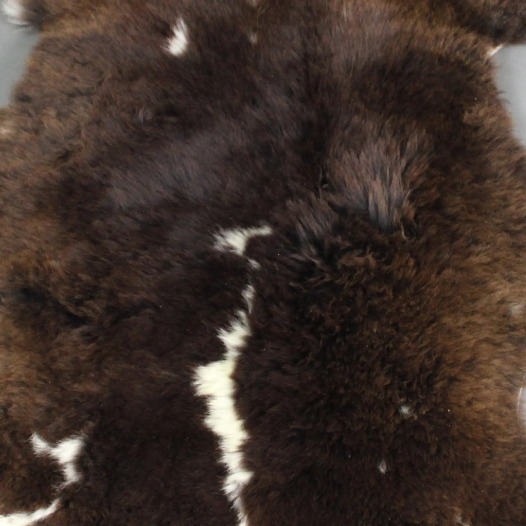 Rare Breed Sheepskin Rug RBM-95