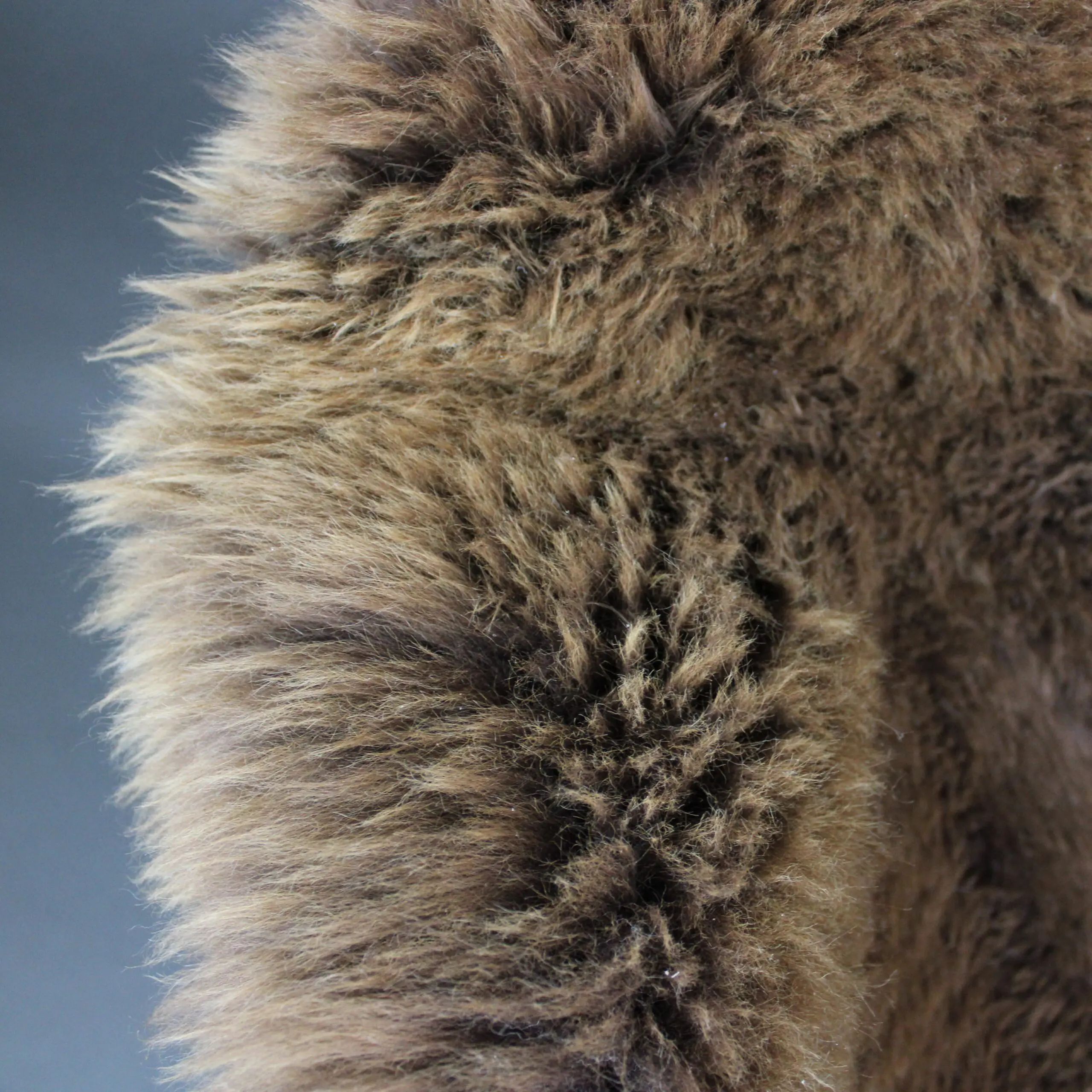 Rare Breed Sheepskin Rug RBS158