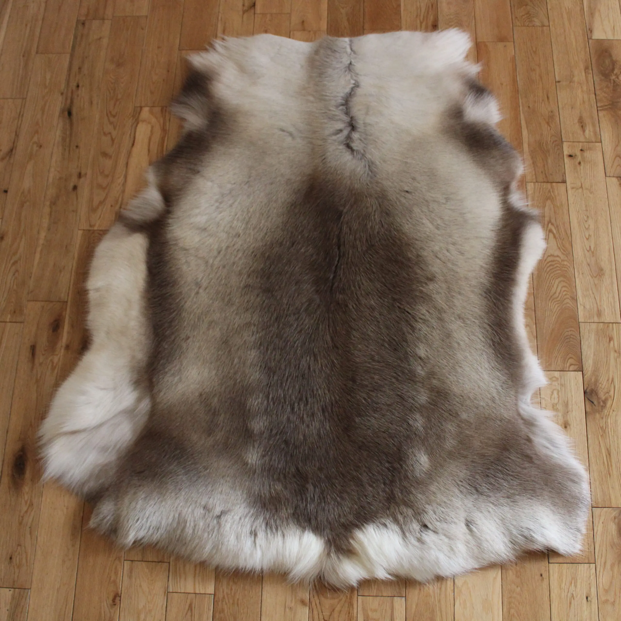 Siberian Reindeer Hide SR256