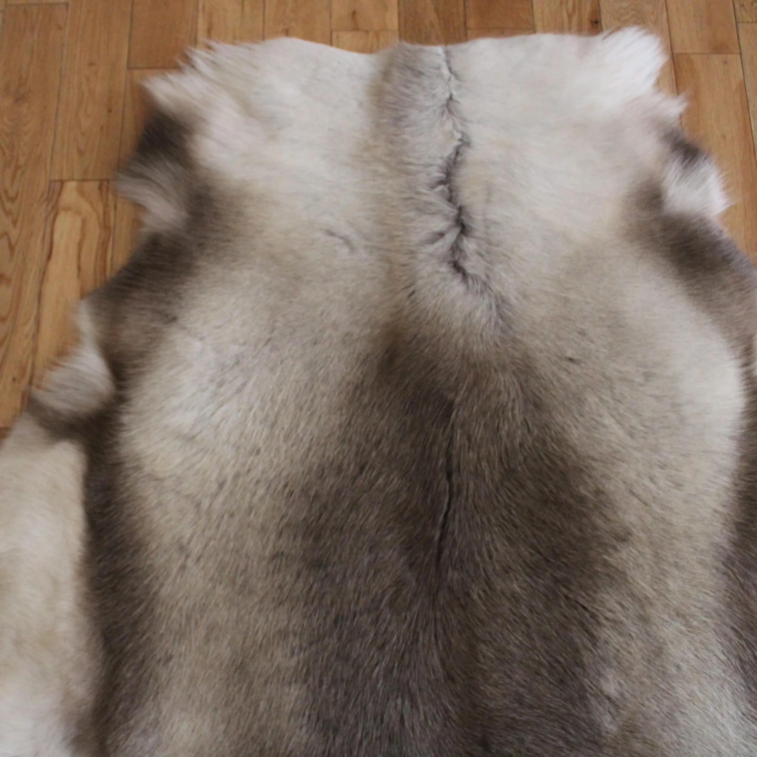 Siberian Reindeer Hide SR256