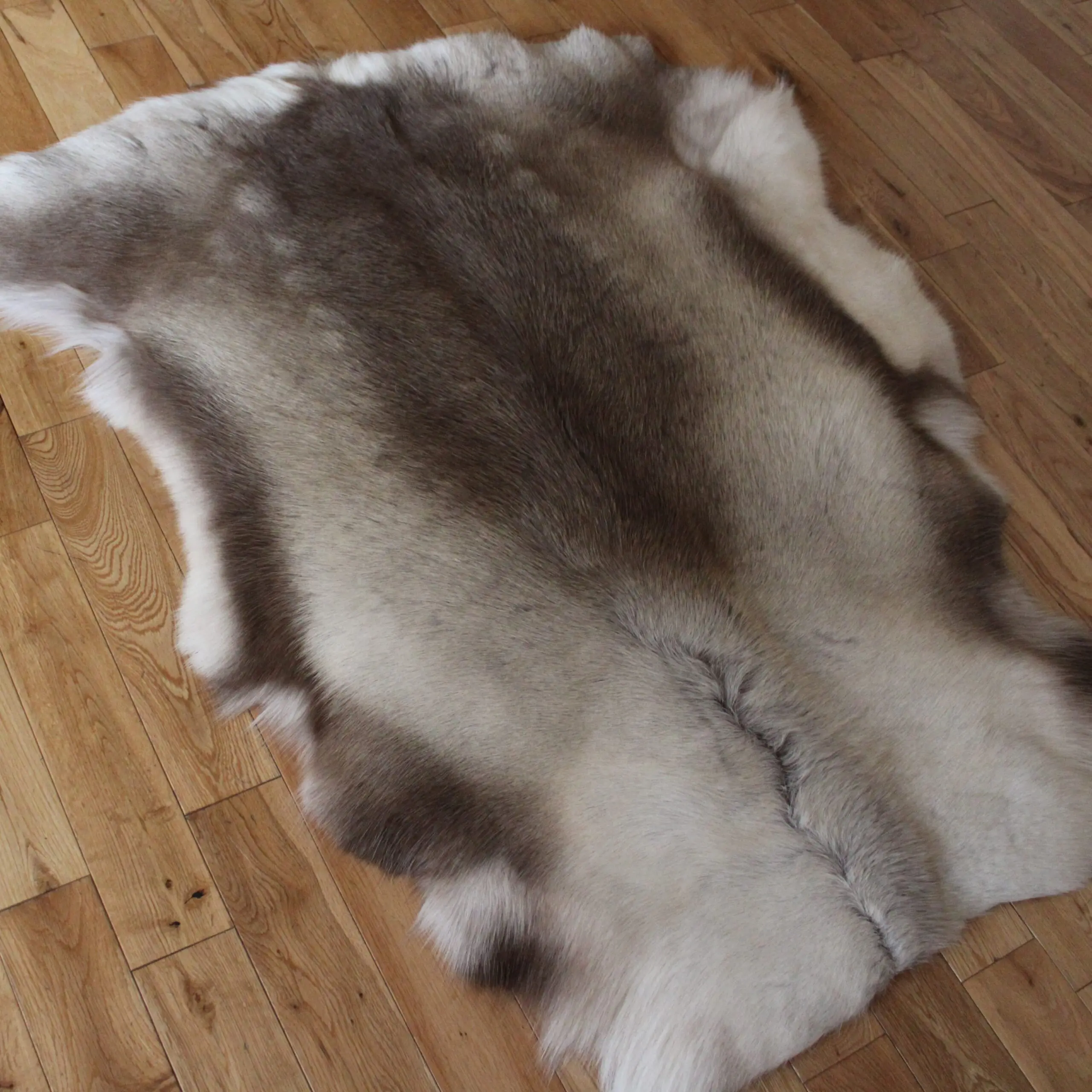 Siberian Reindeer Hide SR256